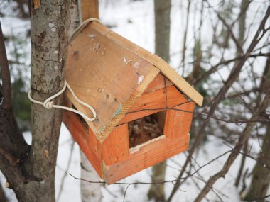 Ormanın içinde ahşap yalak