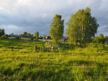 Yaz aylarında köyde huş ağacı