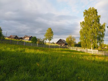 Yaz aylarında köyde huş ağacı