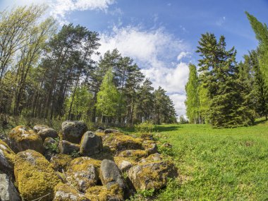 Ridge taşlar bahar bir parkta