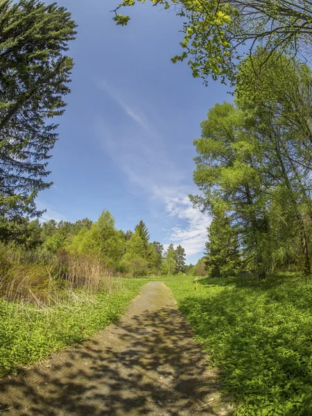 Sendero en Spring Park — Foto de Stock