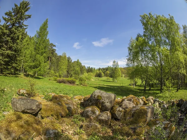 Ridge taşlar bahar bir parkta