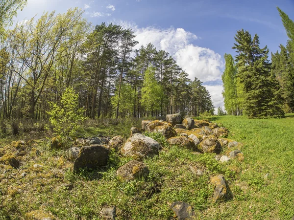 Piedras de cresta en un parque en primavera — Foto de Stock