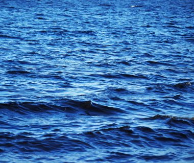 dalgalar göl kenarında. arka plan