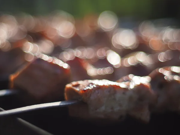 シシカバブ串焼き — ストック写真