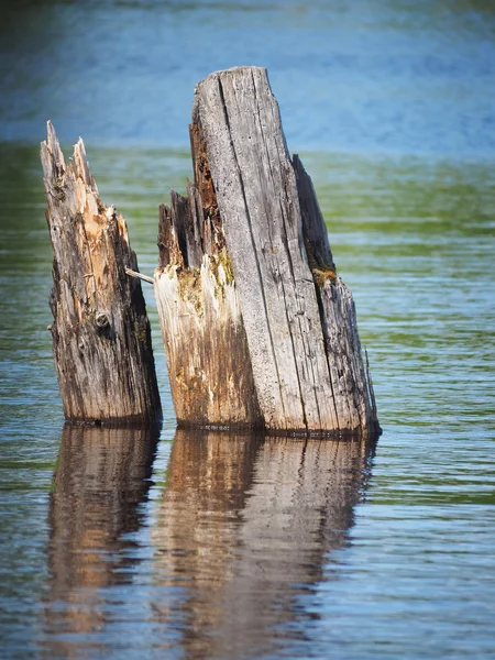 Pilas de madera en el lago —  Fotos de Stock