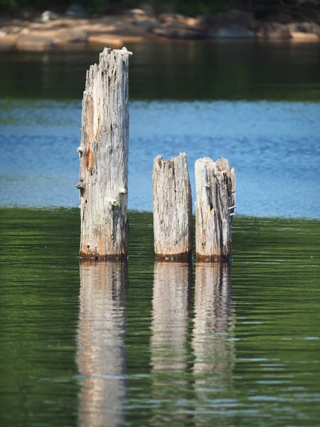 Pilas de madera en el lago —  Fotos de Stock