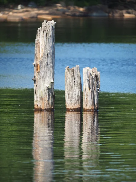 Alte Holzpfähle im See — Stockfoto