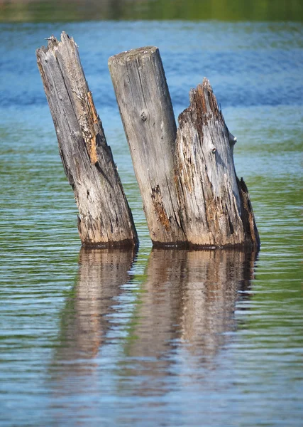 Pilas de madera en el lago —  Fotos de Stock