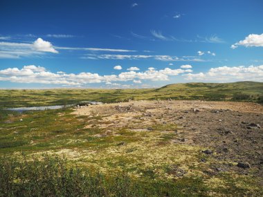 Rusya'nın Kuzey tundra üzerinde gökyüzü ve bulutlar