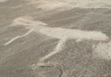 Beyaz Deniz Petroglifleri. Karelia. Rusya