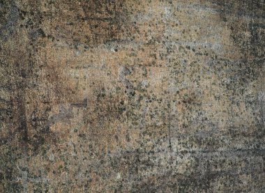 Beyaz Deniz Petroglifleri. Karelia. Rusya