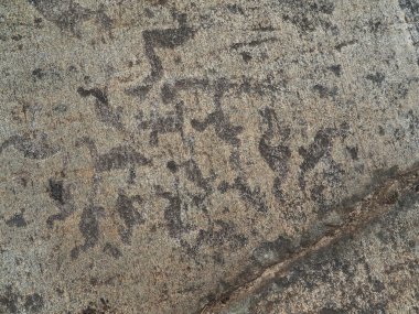 Beyaz Deniz Petroglifleri. Karelia. Rusya