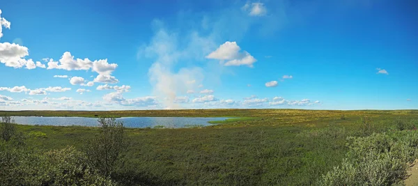 Tundra no norte da Rússia. Panorama — Fotografia de Stock