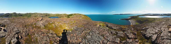 Тундра на севере России. Панорама — стоковое фото