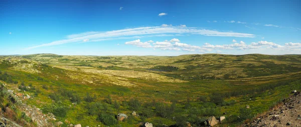 Тундра на севере России. Панорама — стоковое фото