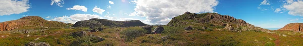 Tundra no norte da Rússia. Panorama — Fotografia de Stock