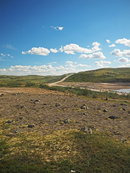 Road in tundra in the north of Russia — Stock Photo, Image