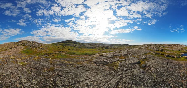 Tundra en el norte de Rusia. Panorama — Foto de Stock