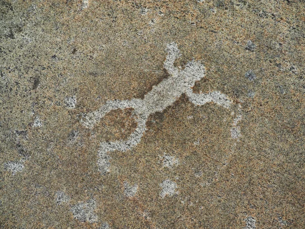 White Sea Petroglyphs Karelia Russia — Stock Photo, Image