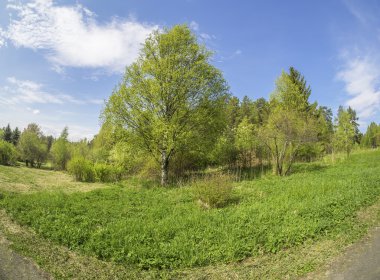 bir Botanik Bahçesi ormanda. Rusya'nın Kuzey