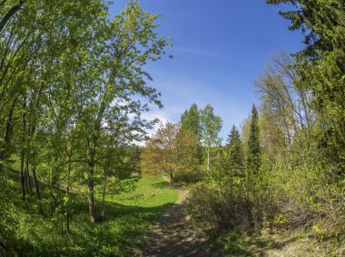 bir Botanik Bahçesi ormanda. Rusya'nın Kuzey