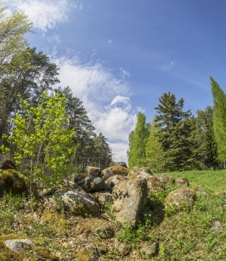 bir Botanik Bahçesi ormanda. Rusya'nın Kuzey