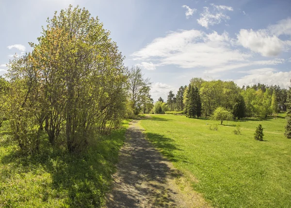 bir Botanik Bahçesi ormanda. Rusya'nın Kuzey