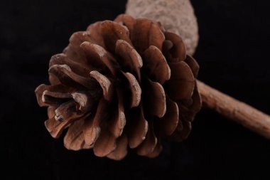 Siyah arkaplanda biriken koniler