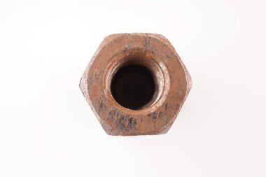 Beyaz arka planda paslı fındık