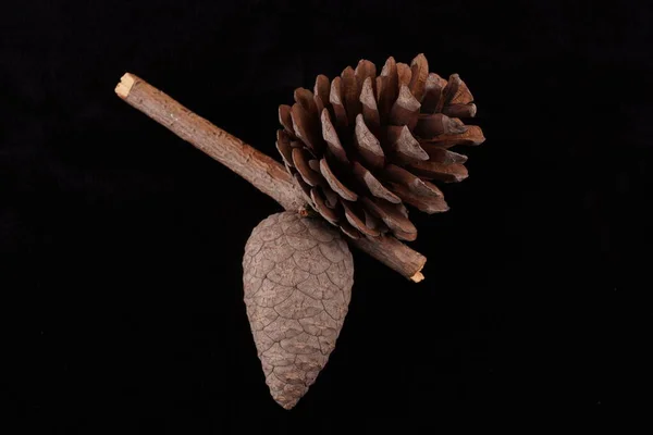 Cones Acumulados Sobre Fundo Preto — Fotografia de Stock