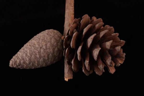 Cones Acumulados Sobre Fundo Preto — Fotografia de Stock