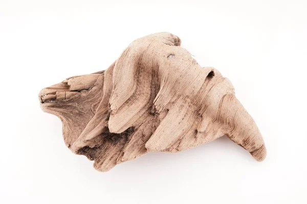 Mooi Houten Driftwood Een Witte Achtergrond — Stockfoto