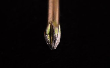 Siyah arkaplanda gri tornavida