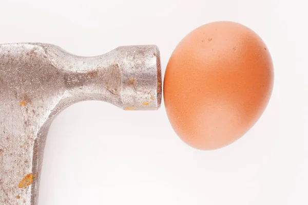 Metal Hammer Egg White Background — Stock Photo, Image