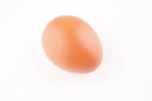 Куряче Яйце Білому Фоні — стокове фото