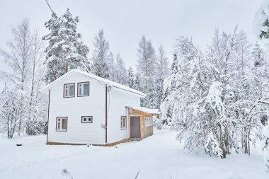 Kışın ormanda çerçeve ev