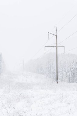 Ormandaki elektrik hattı. Kış