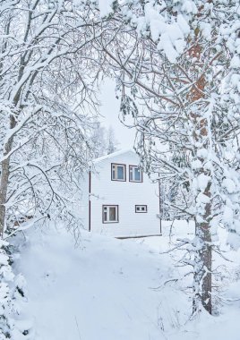 Kışın ormanda çerçeve ev