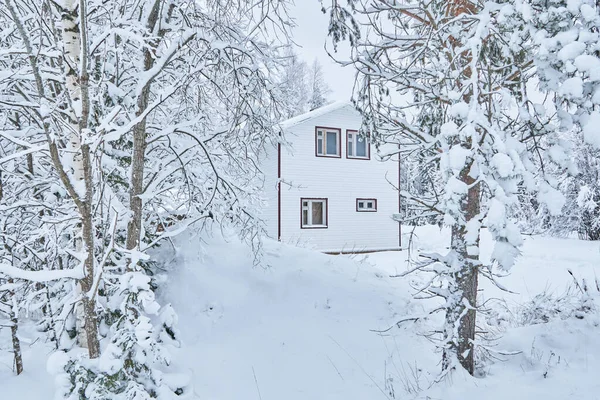 Kışın ormanda çerçeve ev