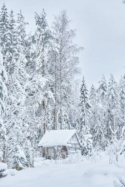 Kışın ormanda çerçeve ev