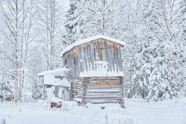 Kışın ormanda çerçeve ev