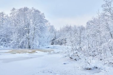 Donmuş nehir. Karlı güzel kış