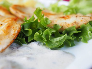 Kırmızı arka planda domatesli biftek ve otlar.