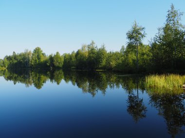 Orman Gölü. Karelya