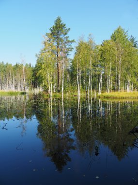 Orman Gölü. Karelya