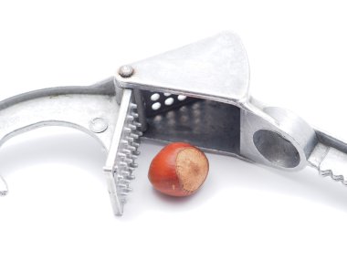 Fındıkkıran beyaz zemin üzerine