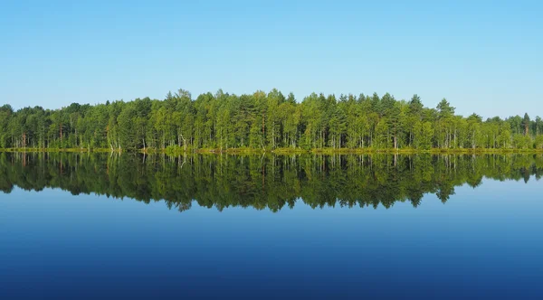 Lago del bosque. karelia — Foto de Stock