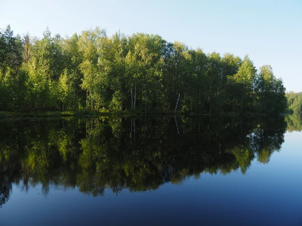 Лісове озеро. Карелія — стокове фото