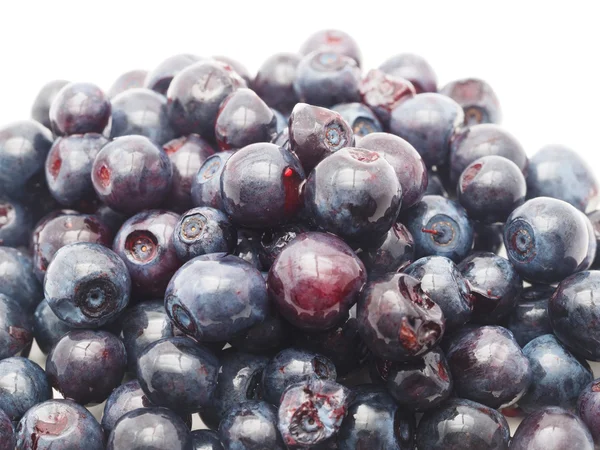 Blueberries on white background — Stock Photo, Image